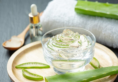 Why Aloe Vera is The Magic Ingredient That Your Body Wash Must Have